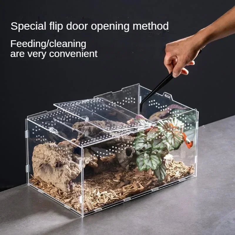 Acrylic Reptile Terrarium – Nano Arboreal Enclosure for Spiders and Insects