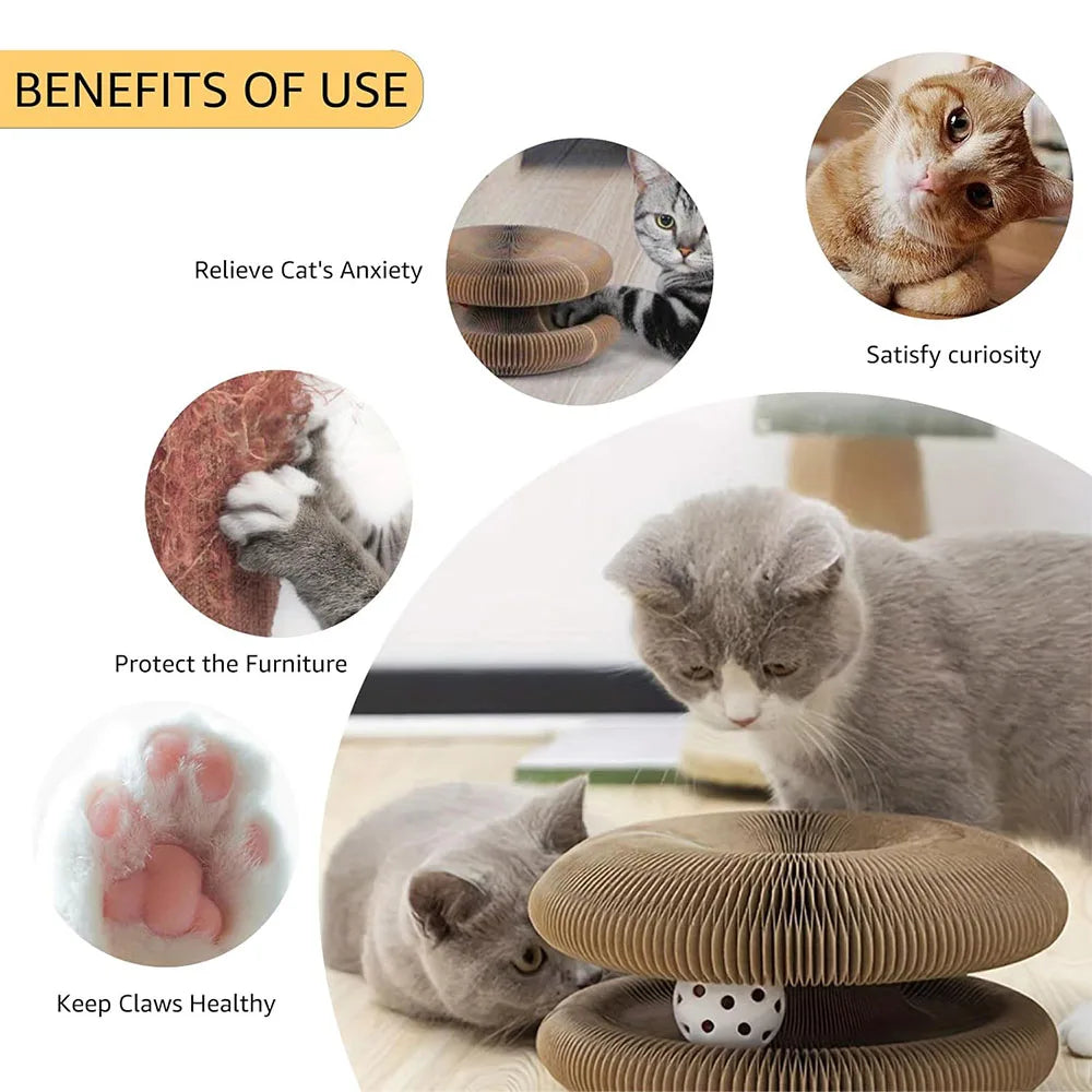 Magic Organ Cat Scratcher – Interactive Accordion Toy for Claw Sharpening