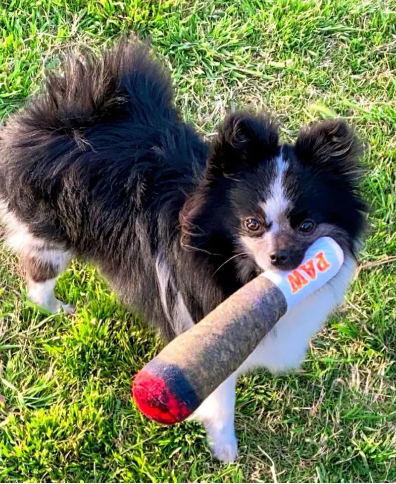 Interactive Cigar Squeaky Toy – Durable Plush for Small Puppy Teeth