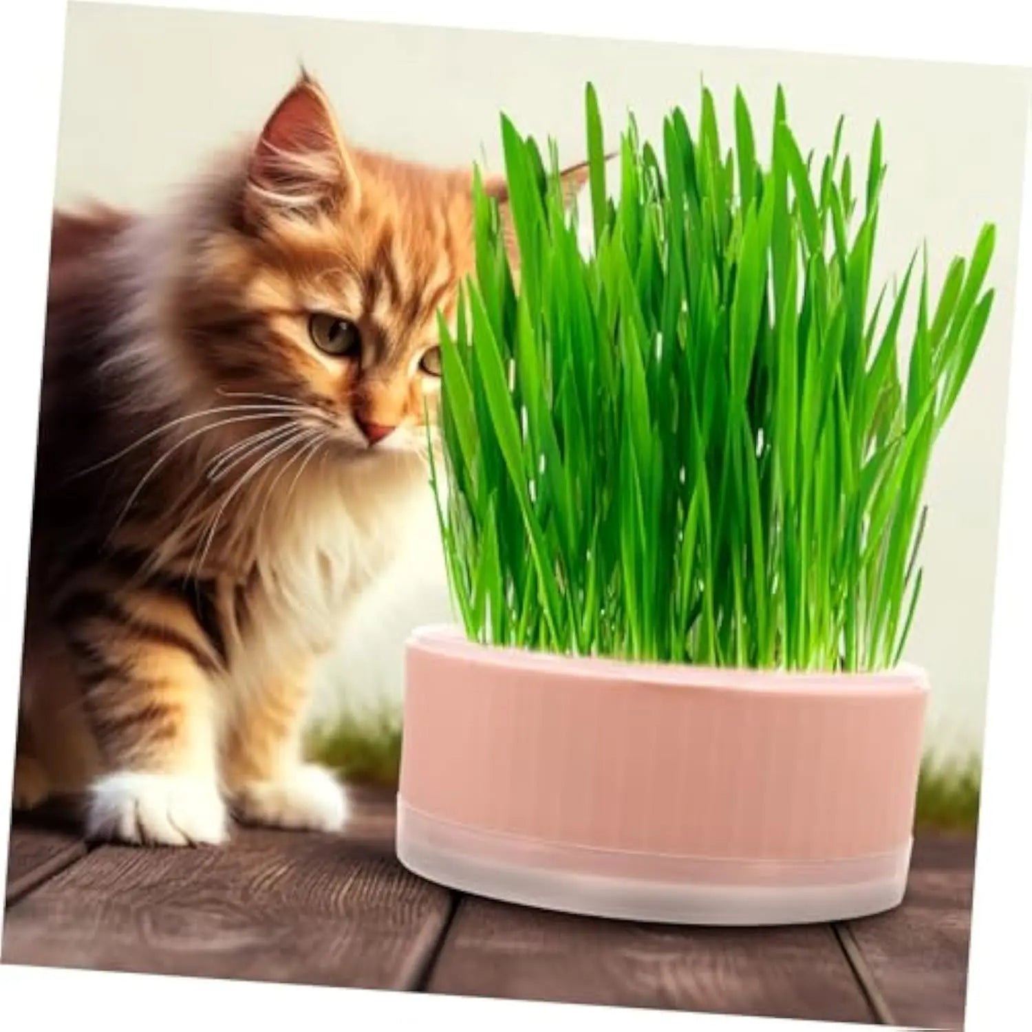 Plastic Cat Grass Planter – Convenient Pet Pot for Indoor Gardening