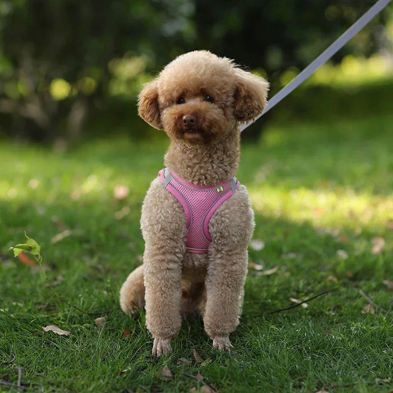 Adjustable Puppy Harness Vest – Comfortable Pet Supplies for Small Dogs