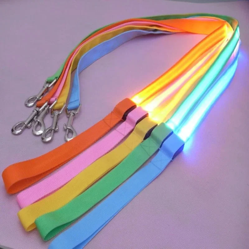 LED Flashing Dog Leash – Luminous Safety Rope for Night Walking