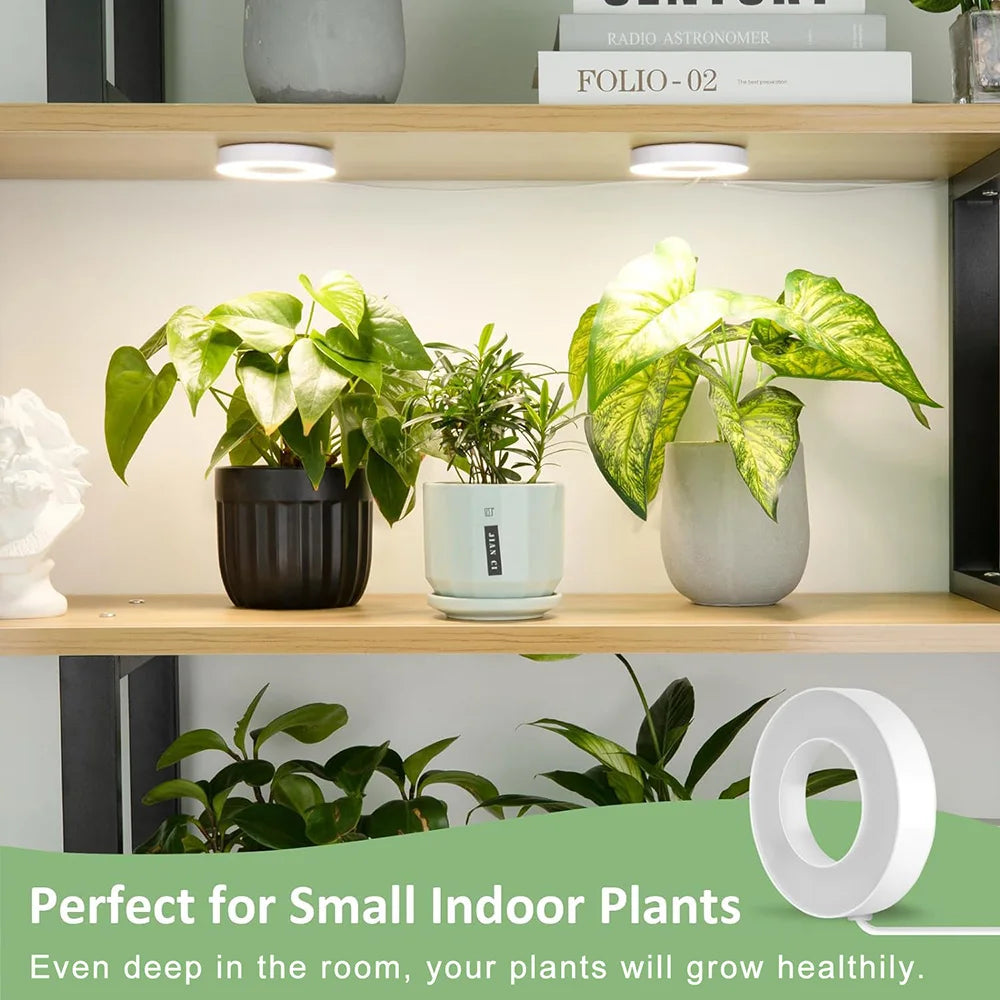 Full Spectrum Halo LED Grow Light – Dimmable Timer Lamp for Indoor Plants