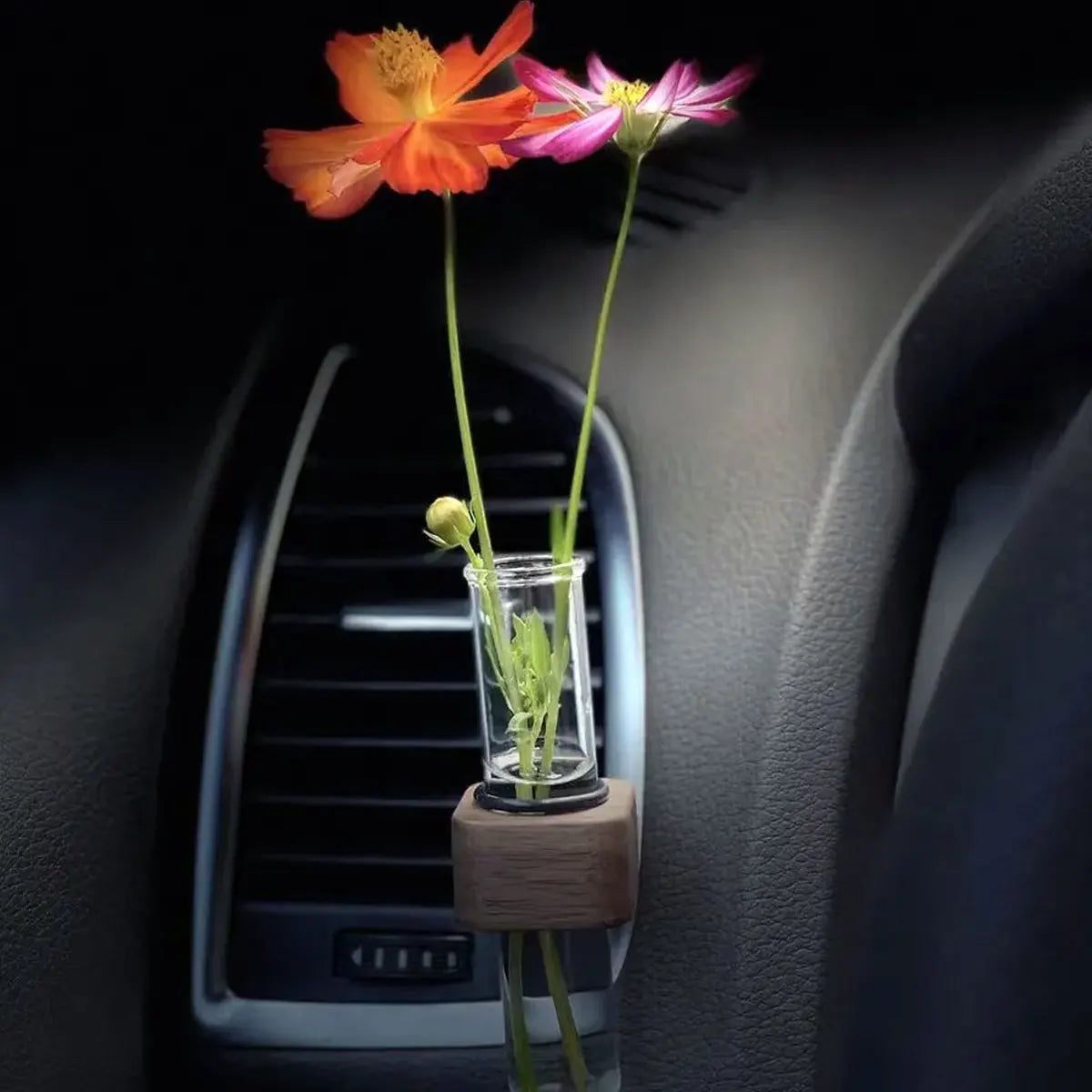 Mini Glass Plant Terrarium – Hanging Hydroponic Bottle for Car Interior Decor