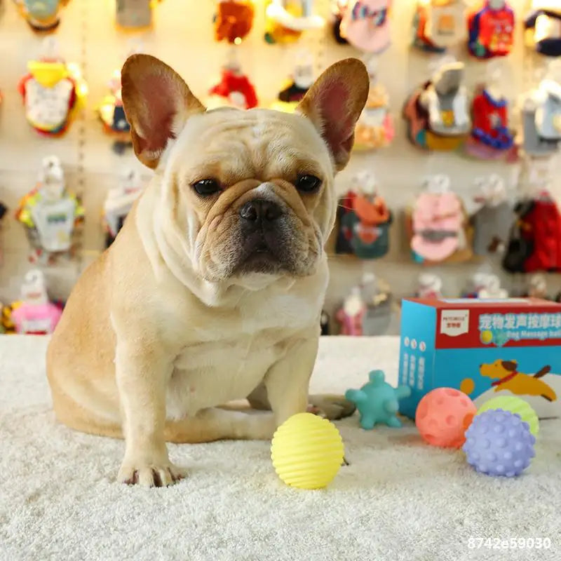 6cm Rubber Squeaky Ball – Durable Chew Toy for Small Dogs and Puppies