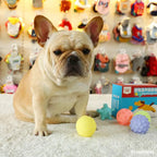 6cm Rubber Squeaky Ball – Durable Chew Toy for Small Dogs and Puppies