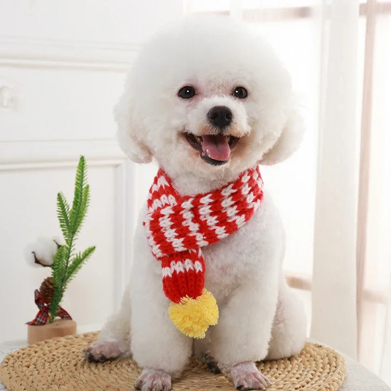 Knitted Dog Scarf Collar – Warm Winter Accessory for Small Medium Pets