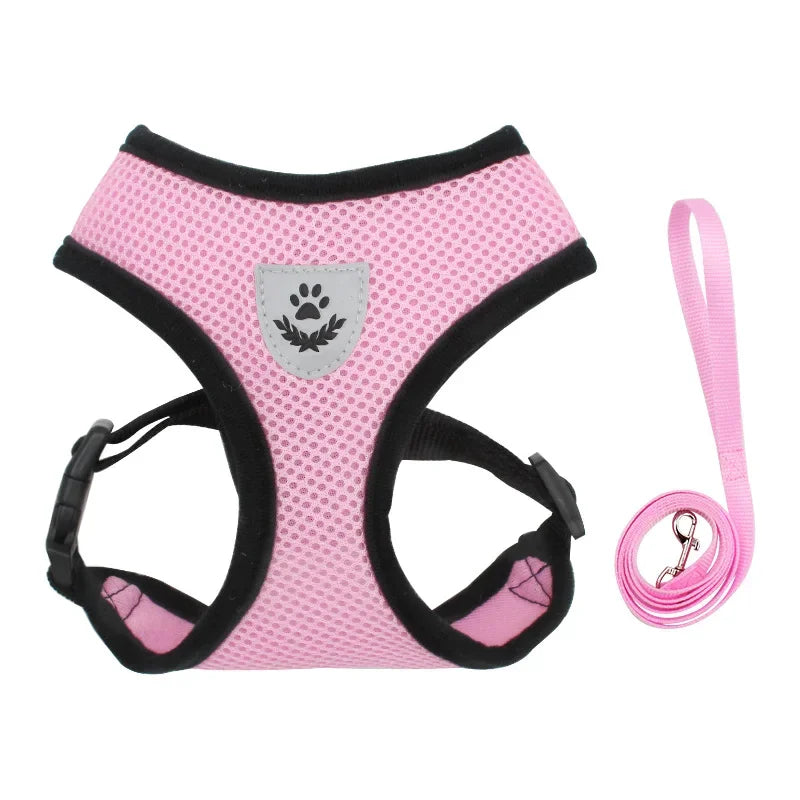 Adjustable Mesh Cat and Dog Harness with Leash – Breathable for Small Pets