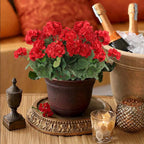 Artificial Silk Begonia Flowers – UV Resistant Foliage for Wedding Decor