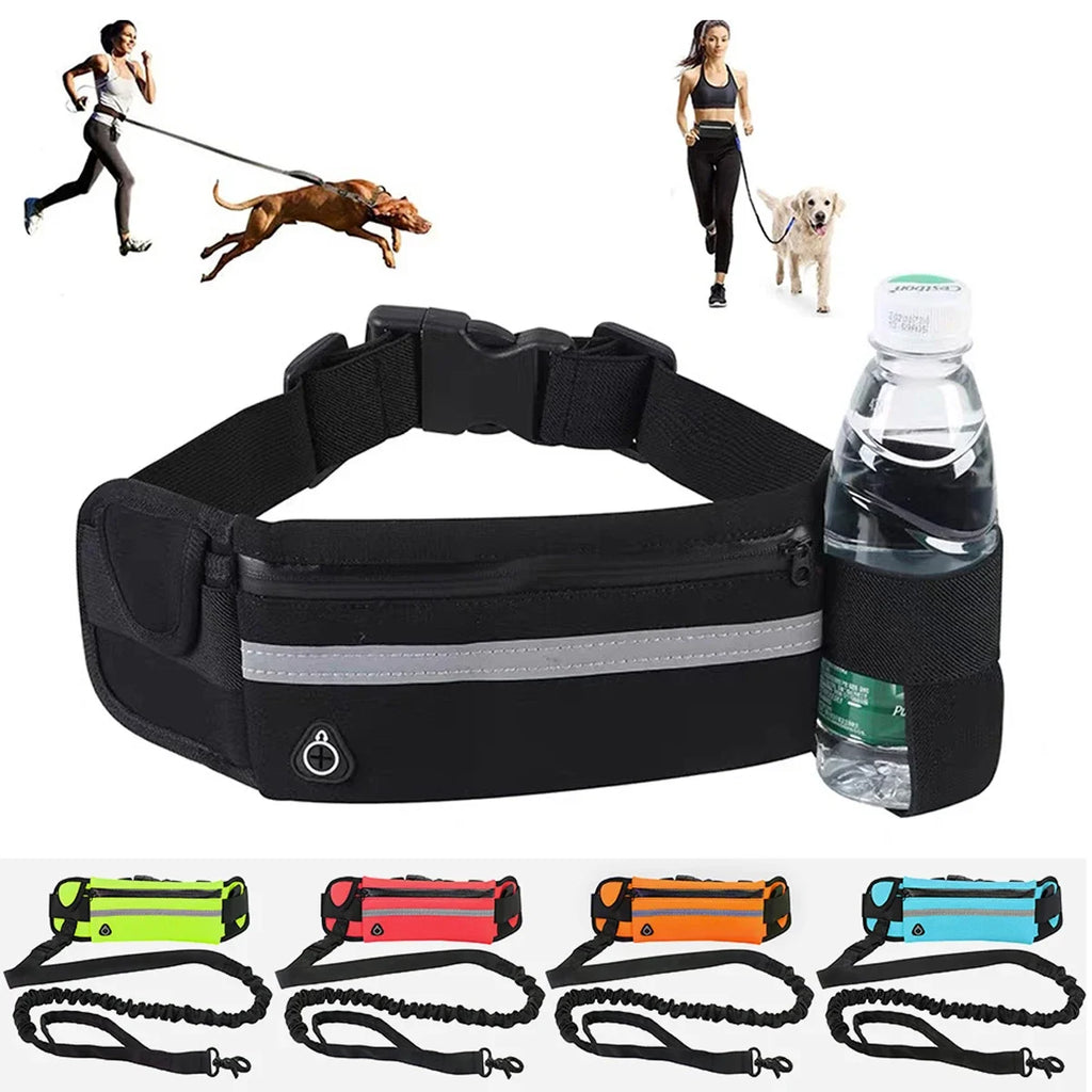 Hands-Free Dog Running Leash – Reflective Elastic Waist Belt for Outdoor Exercise