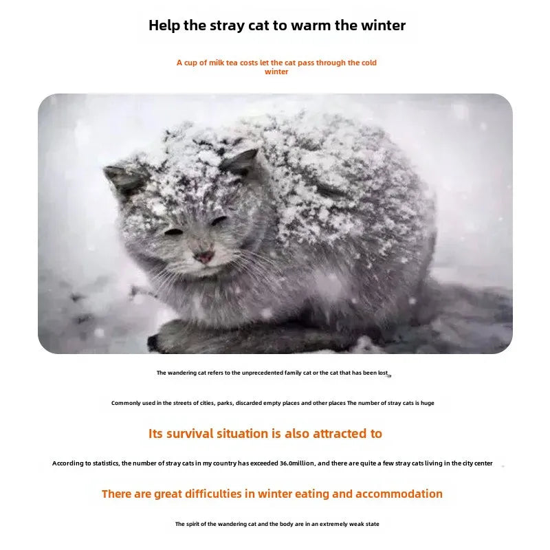 Waterproof Outdoor Pet House – Foldable Winter Cave for Small Dogs and Cats