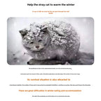 Waterproof Outdoor Pet House – Foldable Winter Cave for Small Dogs and Cats