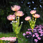 Solar Flower Stake Lights – Waterproof LED Garden Lamps for Outdoor Decoration