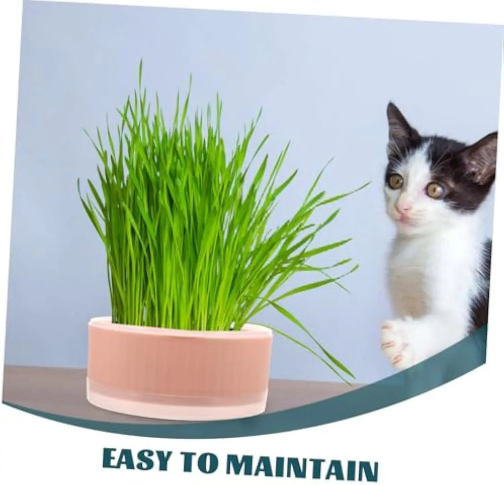 Plastic Cat Grass Planter – Convenient Pet Pot for Indoor Gardening