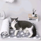 Flannel Pet Bed – Thickened Sleeping Mat for Small and Large Dogs and Cats