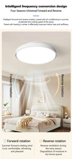Bladeless Ceiling Fan Light – 6-Speed Remote Dimmable Fixture for Home Decor