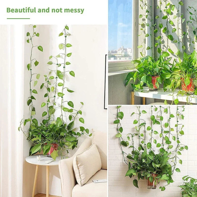 Self-Adhesive Vine Clips – Invisible Plant Climbing Wall Fixture for Garden