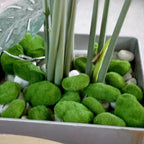 Artificial Foam Moss Stones – Decorative Green Rocks for Micro Landscapes