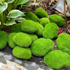 Artificial Foam Moss Stones – Decorative Green Rocks for Micro Landscapes