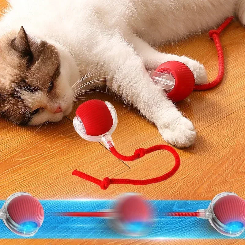 Interactive Rolling Cat Ball – Rechargeable Smart Toy for Pet Training