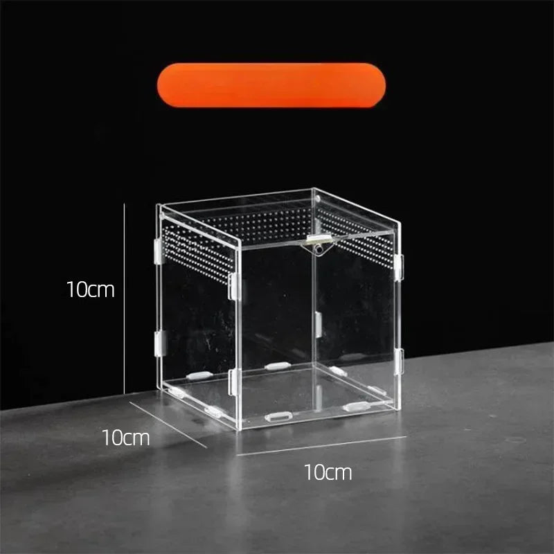 Acrylic Reptile Terrarium – Nano Arboreal Enclosure for Spiders and Insects
