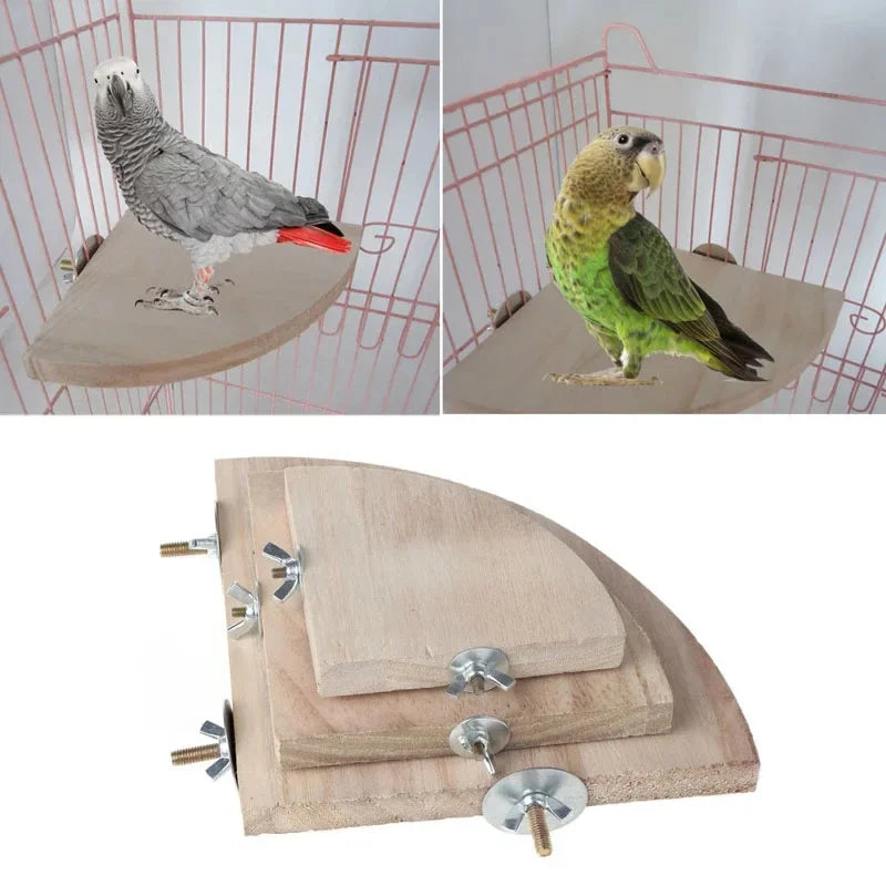 Wooden Fan-Shaped Bird Perch – Natural Stand for Parrot and Small Pets