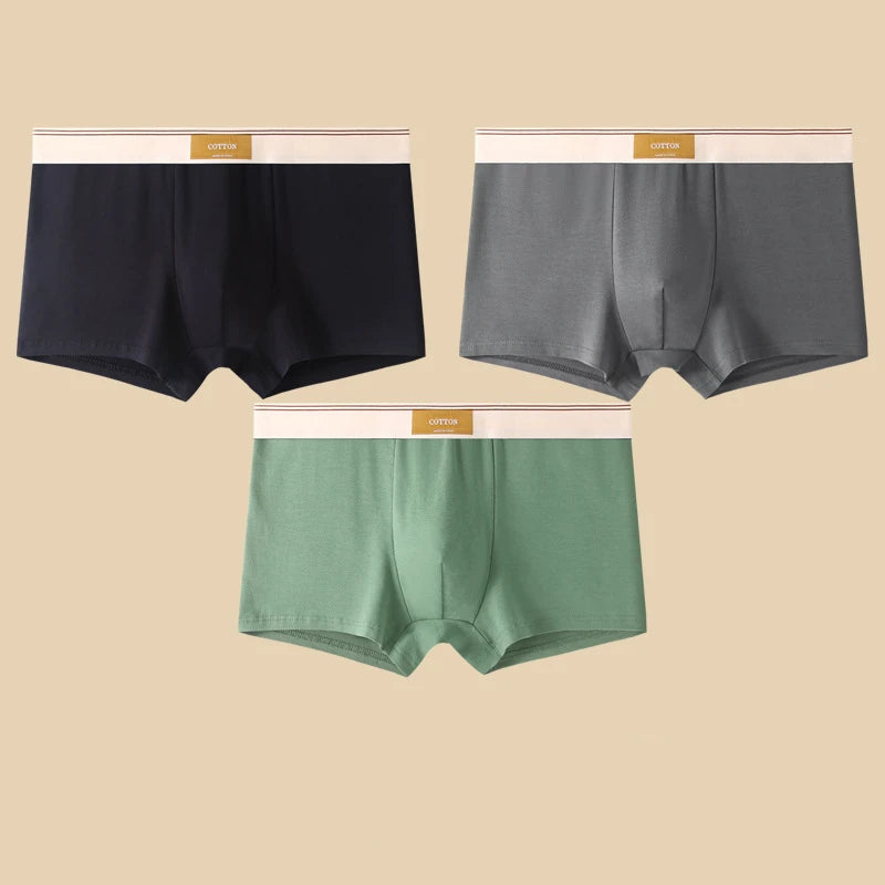 Cotton Boxer Briefs – Breathable Men’s Underwear for Everyday Comfort