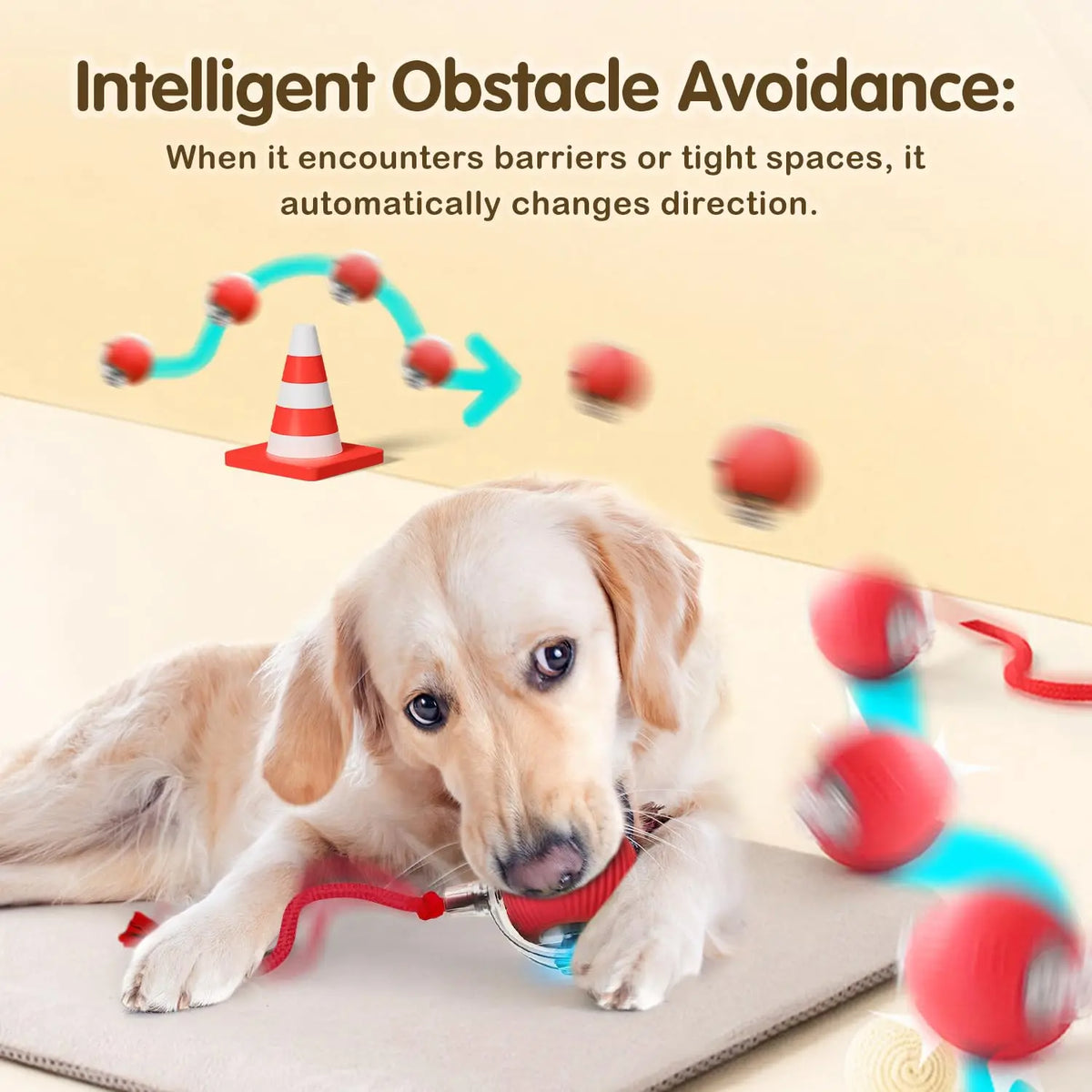Interactive Rolling Cat Ball – Rechargeable Smart Toy for Pet Exercise