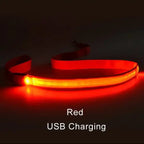 LED Flashing Dog Leash – Luminous Safety Rope for Night Walking