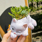 Ceramic Cat Succulent Planter – Decorative Desktop Pot for Home Office
