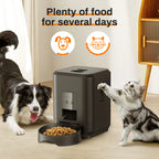 Automatic Pet Feeder – Timed Food Dispenser for Cats and Dogs