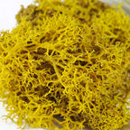 Artificial Moss Grass – 200g Green Fake Plant for DIY Garden Home Decor