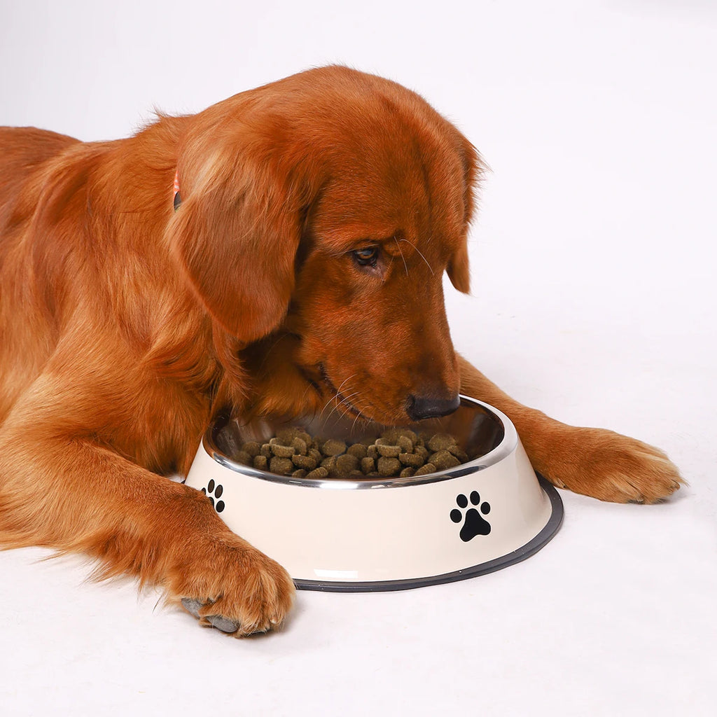 Stainless Steel Pet Bowl – Durable Anti-fall Food Bowl for Dogs and Cats