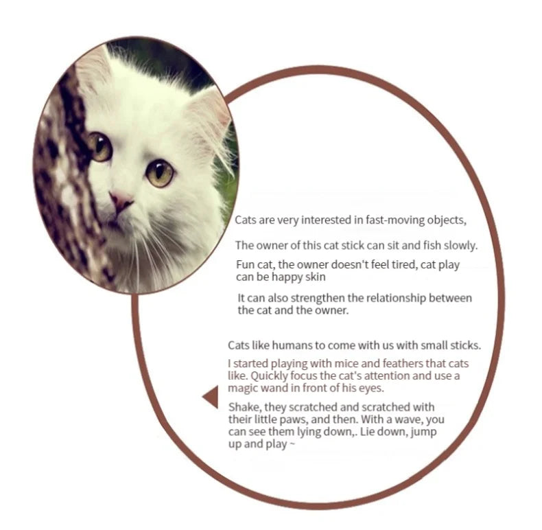 Interactive Cat Feather Toy Set – Retractable Wand for Indoor Pet Play