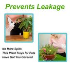 Clear Plastic Plant Drip Trays – Sturdy Round Saucers for Indoor Outdoor Pots