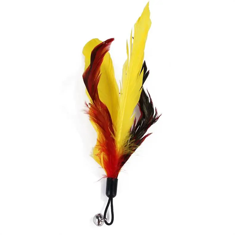 Interactive Cat Feather Toy Set – Retractable Wand for Indoor Pet Play