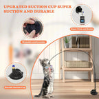 Feather Cat Teaser Wand – Suction Cup Interactive Toy for Indoor Exercise