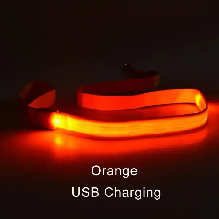 LED Flashing Dog Leash – Luminous Safety Rope for Night Walking