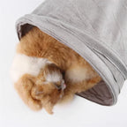 Collapsible S-Shape Cat Tunnel – Grey Suede Crinkle Toy for Indoor Pets