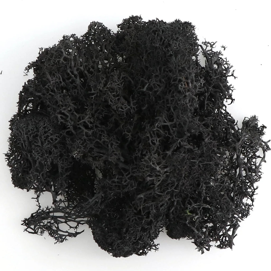 Artificial Moss Grass – 200g Green Fake Plant for DIY Garden Home Decor