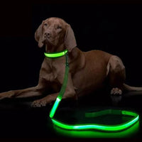 LED Flashing Dog Leash – Luminous Safety Rope for Night Walking