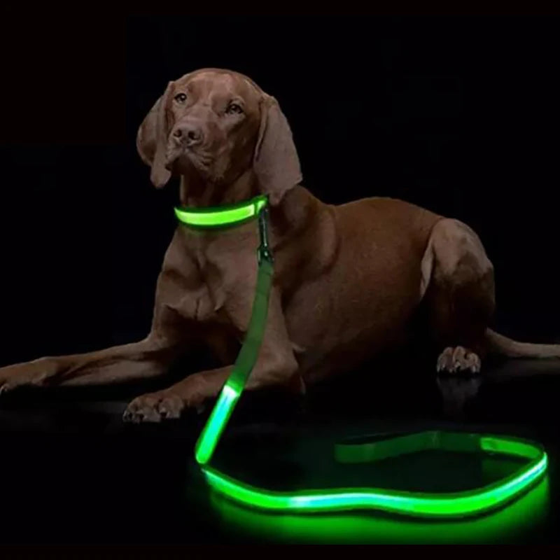 LED Flashing Dog Leash – Luminous Safety Rope for Night Walking