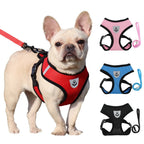 Adjustable Mesh Cat and Dog Harness with Leash – Breathable for Small Pets