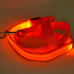 LED Flashing Dog Leash – Luminous Safety Rope for Night Walking