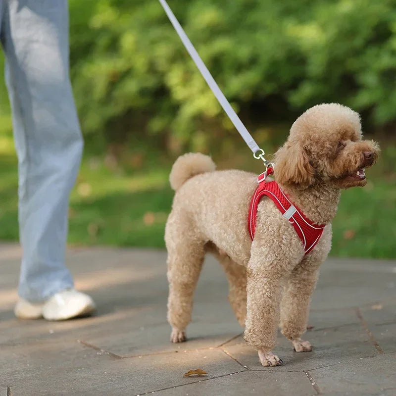 Adjustable Puppy Harness Vest – Comfortable Pet Supplies for Small Dogs