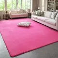 Coral Velvet Area Rug – Soft Rectangular Mat for Living Room and Bedroom