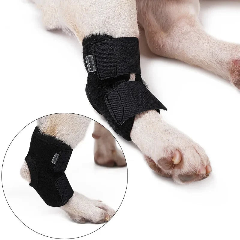 Dog Leg Joint Brace – Orthopedic Support for Arthritis Recovery