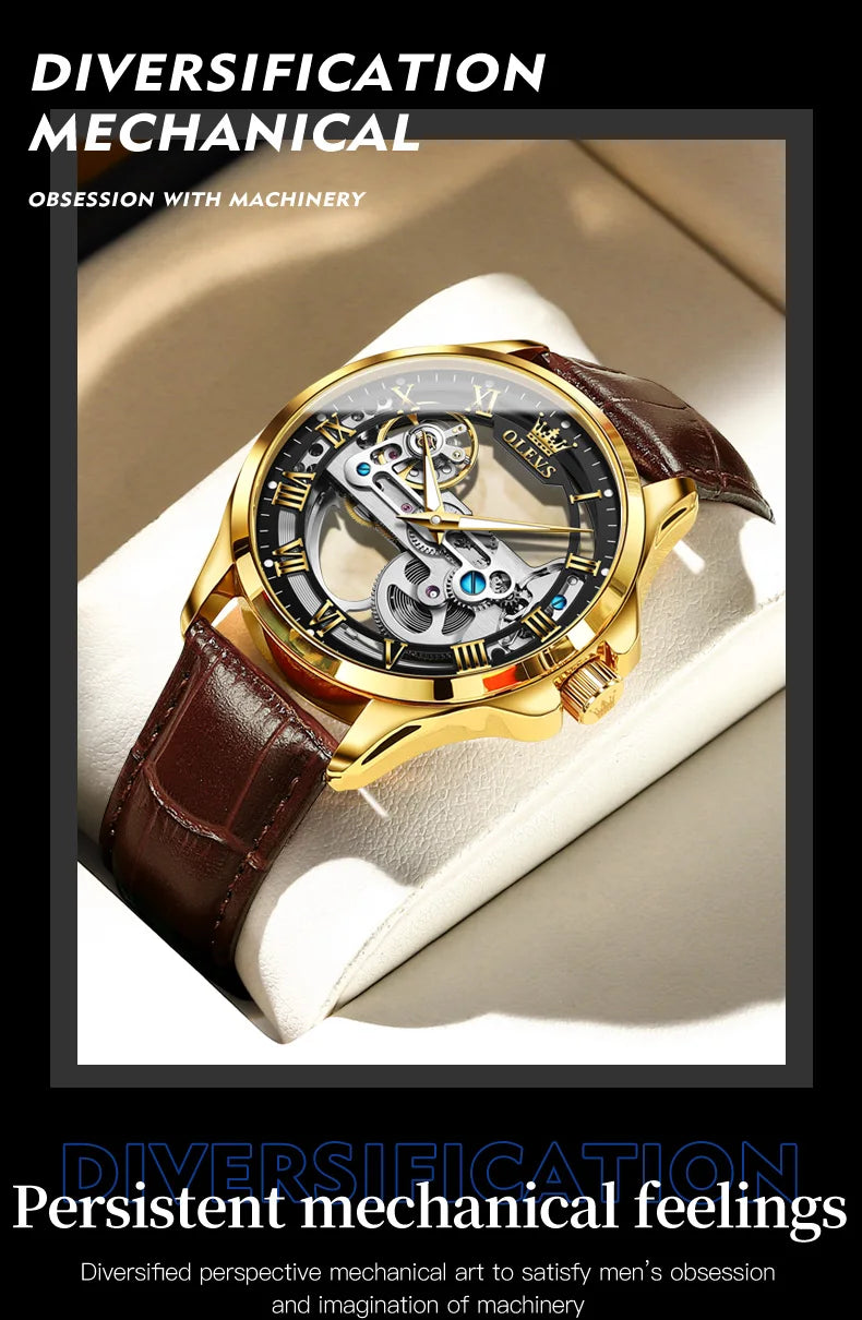 Automatic Skeleton Mechanical Watch – Transparent Leather Strap for Business Men