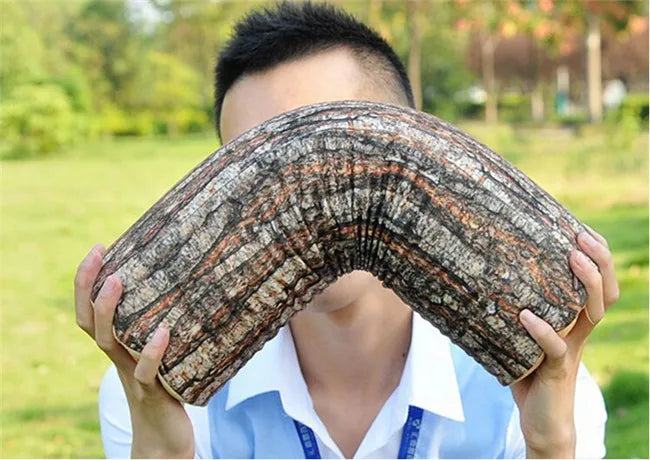 Stump Shaped Decorative Pillow – Soft Wood Grain Cushion for Home and Car Decor