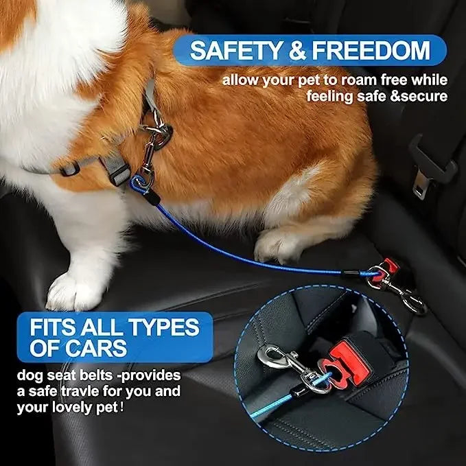 Chew-Proof Dog Car Harness – Durable Safety Seat Belt for Travel